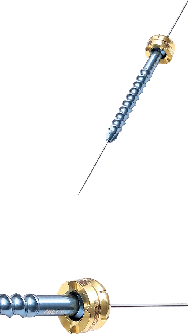 Facet Fixation Screw – catalogue image