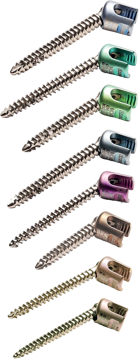 Multifunctional Vertebral Screw – catalogue image